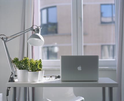 indoor plants in a home office